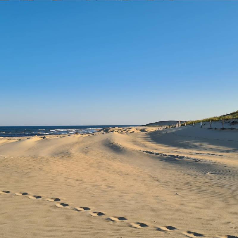 Location Appartement à Moliets Plage avec vue sur le golf - Résidence du Golf - Idéal pour les vacances avec vue sur le Golf - A deux pas de la plage de Moliets