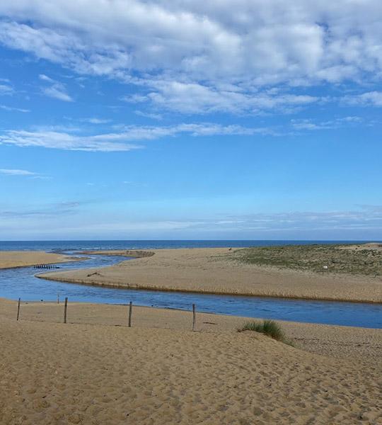 Location Appartement à Moliets Plage avec vue sur le golf - Résidence du Golf - Idéal pour les vacances avec vue sur le Golf - Courant d'Huchet